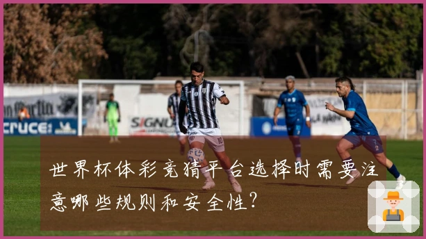 世界杯体彩竞猜平台选择时需要注意哪些规则和安全性？