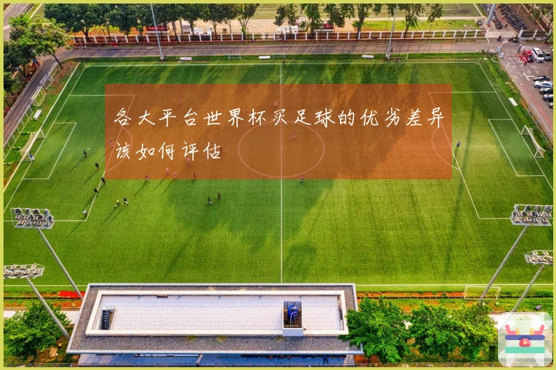 各大平台世界杯买足球的优劣差异该如何评估