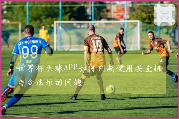 世界杯买球APP如何判断使用安全性与合法性的问题