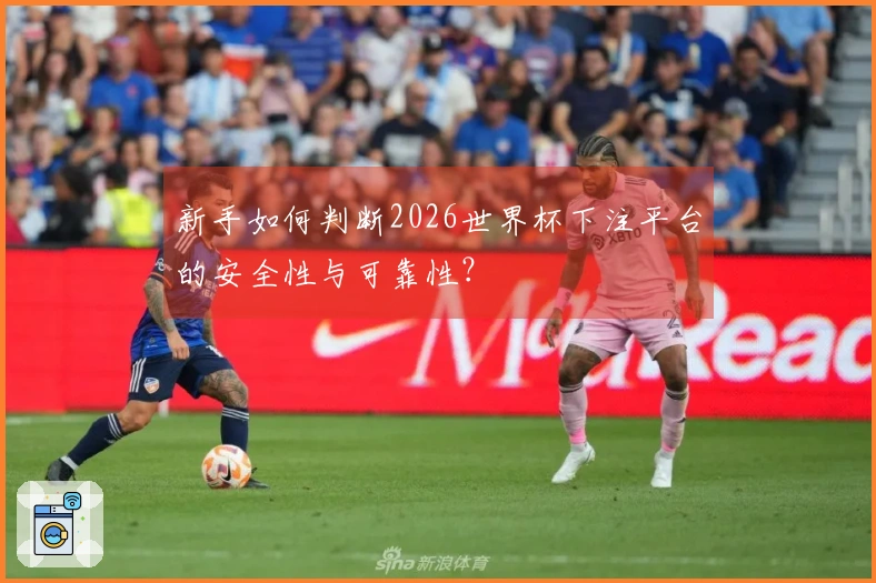 新手如何判断2026世界杯下注平台的安全性与可靠性?