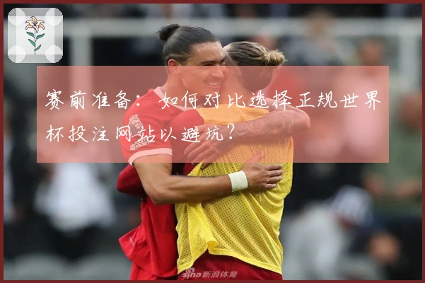赛前准备:如何对比选择正规世界杯投注网站以避坑?
