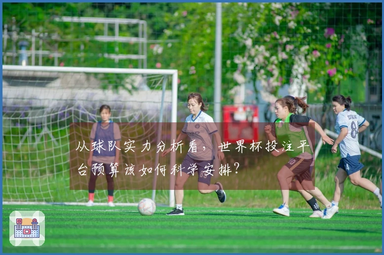 从球队实力分析看，世界杯投注平台预算该如何科学安排？