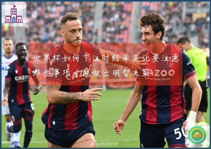 世界杯如何下注时赔率变化要注意哪些事项才能做出明智决策